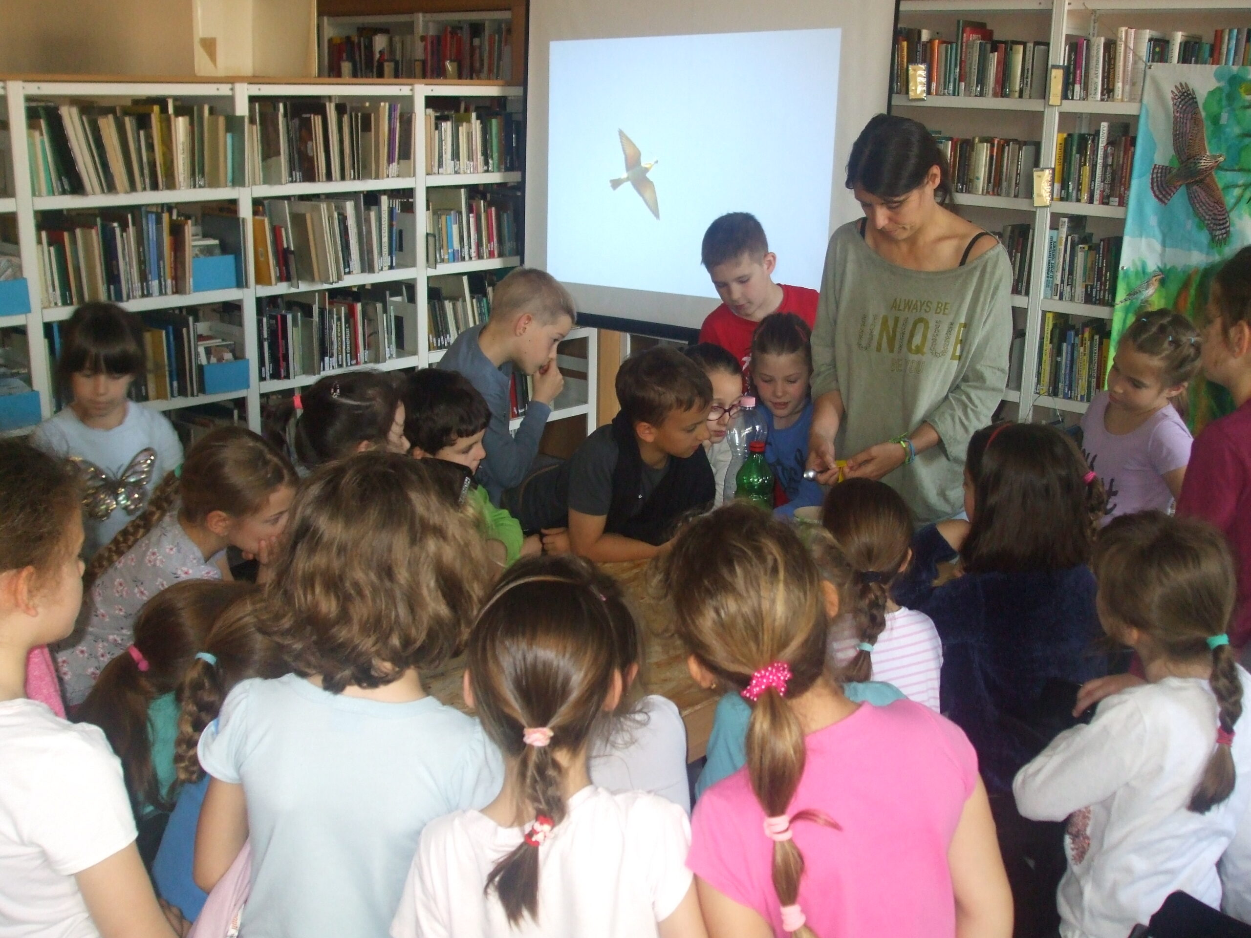 lrojj2iopcflu4 l5folgrdcw2qcfoyi